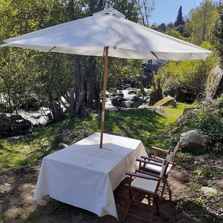 فيلا Quinta Dos Carvalhos The Wine House Farm In Center Of Lamego - Capital Of The Douro المظهر الخارجي الصورة