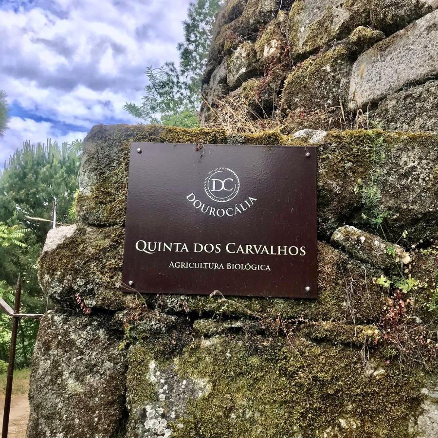 فيلا Quinta Dos Carvalhos The Wine House Farm In Center Of Lamego - Capital Of The Douro المظهر الخارجي الصورة