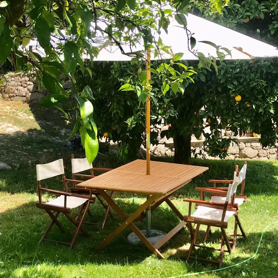 فيلا Quinta Dos Carvalhos The Wine House Farm In Center Of Lamego - Capital Of The Douro المظهر الخارجي الصورة