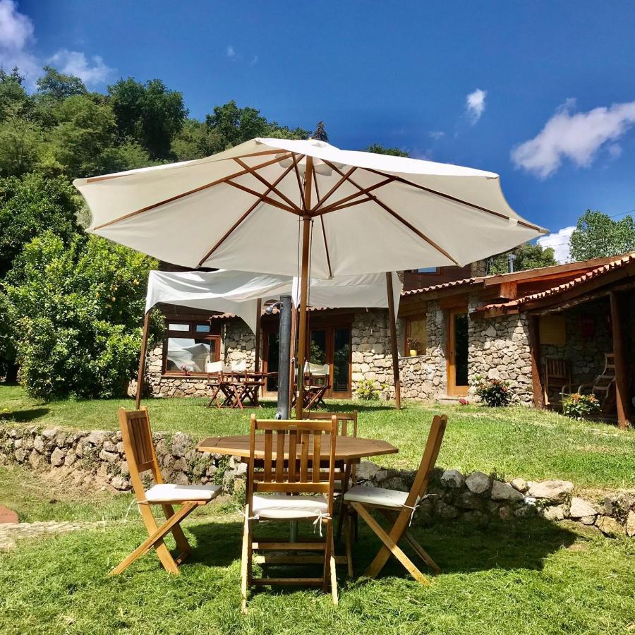 فيلا Quinta Dos Carvalhos The Wine House Farm In Center Of Lamego - Capital Of The Douro المظهر الخارجي الصورة