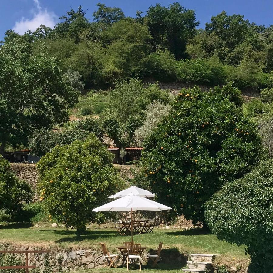 فيلا Quinta Dos Carvalhos The Wine House Farm In Center Of Lamego - Capital Of The Douro المظهر الخارجي الصورة