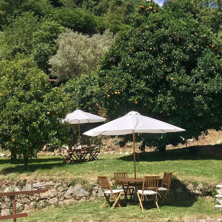 فيلا Quinta Dos Carvalhos The Wine House Farm In Center Of Lamego - Capital Of The Douro المظهر الخارجي الصورة