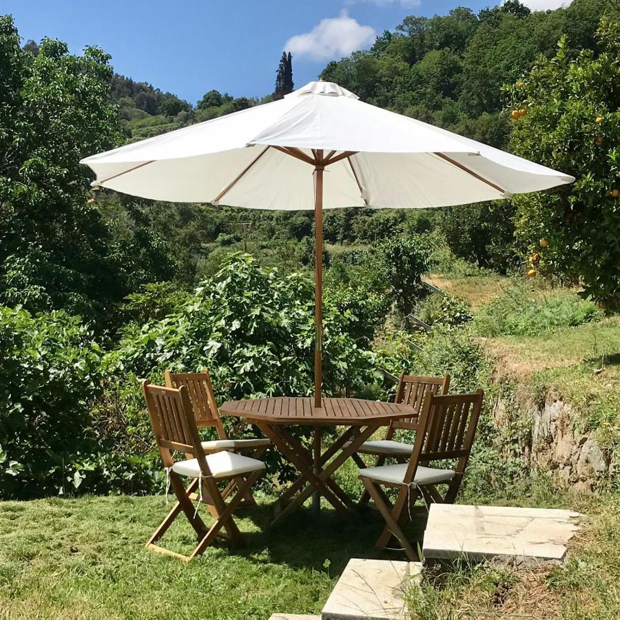 فيلا Quinta Dos Carvalhos The Wine House Farm In Center Of Lamego - Capital Of The Douro المظهر الخارجي الصورة