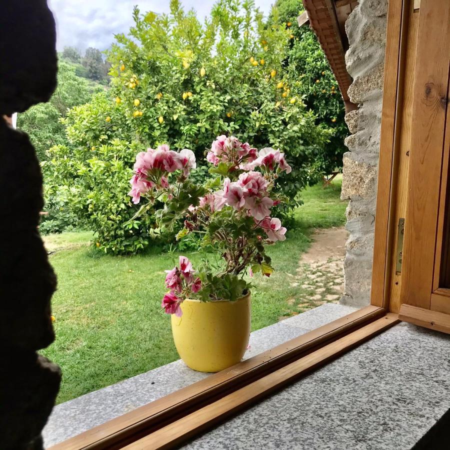 فيلا Quinta Dos Carvalhos The Wine House Farm In Center Of Lamego - Capital Of The Douro المظهر الخارجي الصورة