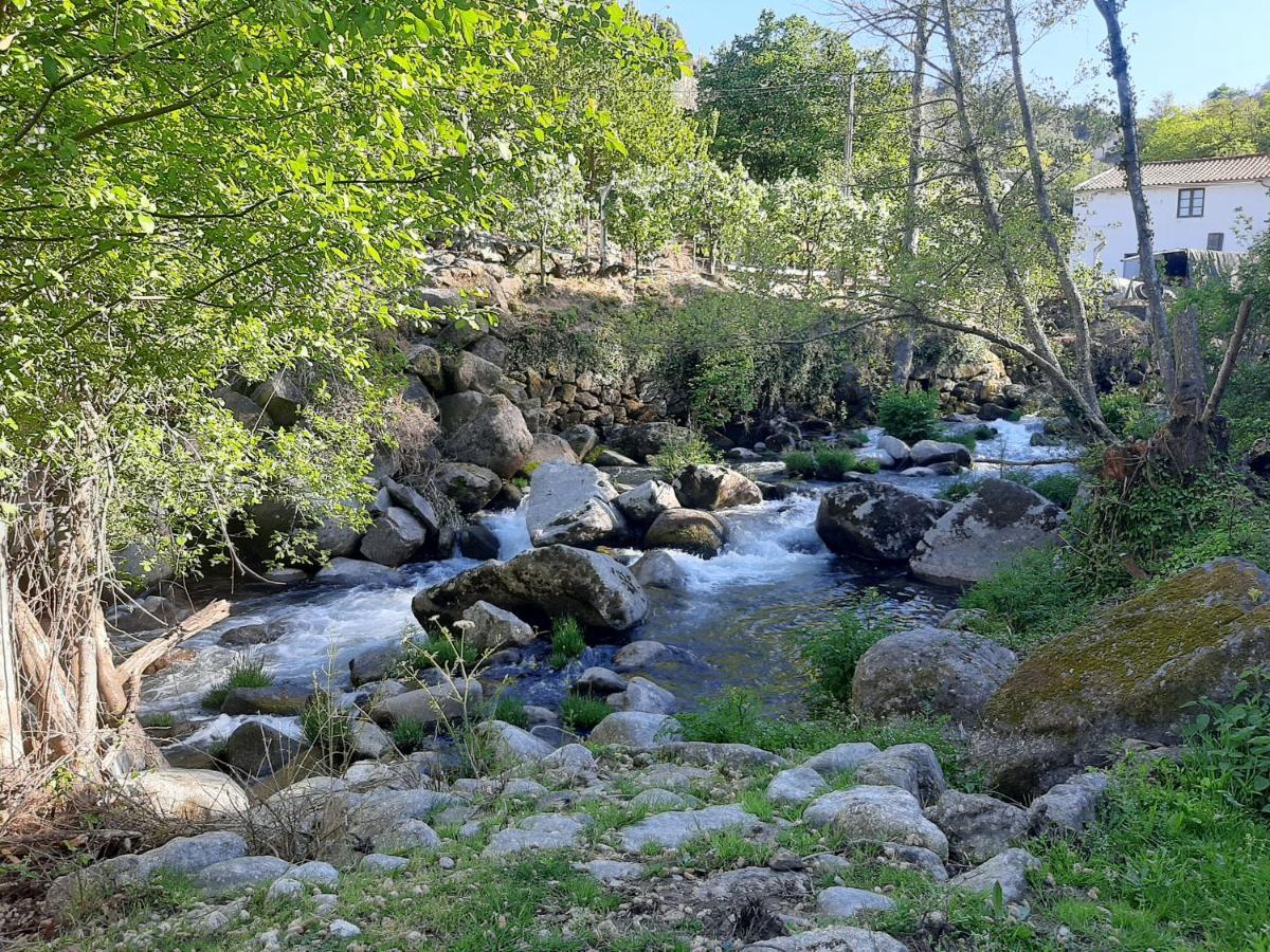 فيلا Quinta Dos Carvalhos The Wine House Farm In Center Of Lamego - Capital Of The Douro المظهر الخارجي الصورة